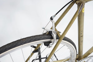Faggin (single-speed) | Newly Added