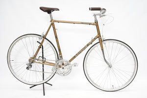 Batavus Course | Newly Added