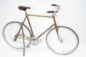 Batavus Course | Newly Added