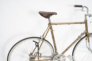 Batavus Course | Newly Added