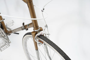 Batavus Course | Newly Added
