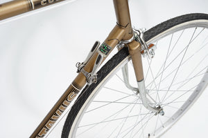 Batavus Course | Newly Added