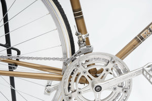 Batavus Course | Newly Added