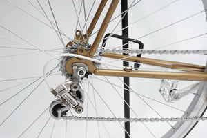 Batavus Course | Newly Added