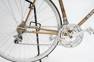 Batavus Course | Newly Added