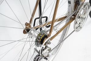 Batavus Course | Newly Added