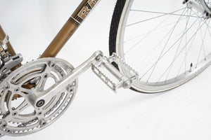 Batavus Course | Newly Added